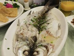 -石湖大酒店(桐泾店)