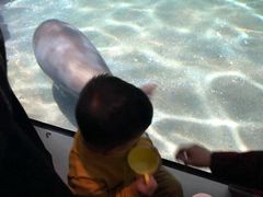 -福州罗源湾海洋世界旅游区