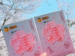 -东湖磨山景区樱花园-停车场