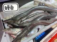 -温岭石塘海边