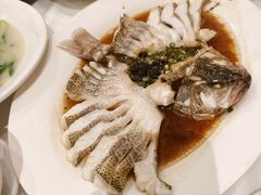 -稻香酒家·35年老字号(侨光店)