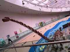 -陕西自然博物馆