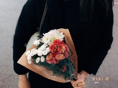 -溪岸路花鸟市场