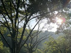 -宜兴龙背山森林公园