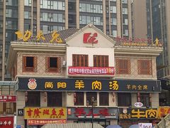 -功夫兔
