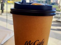 -麦当劳(塔园路店)