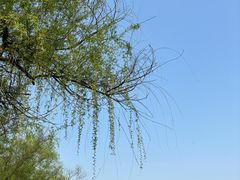 -大蜀山国家森林公园