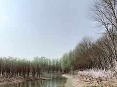 -东郊湿地公园