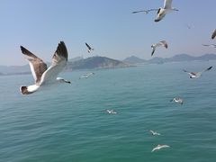 -海驴岛(荣成市)
