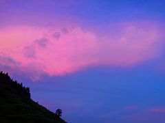 -紫鹊界梯田景区