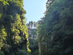 -茅兰沟国家森林公园