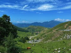 -灵山