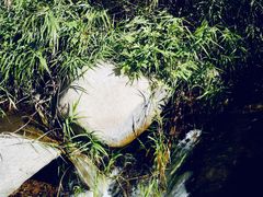 -碓臼峪自然风景区