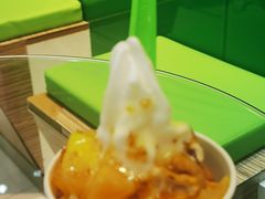 -Salud撒露欧洲冻酸奶(蓝色港湾店)