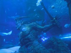 -哈尔滨波塞冬海底世界
