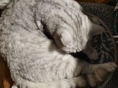 -不舍昼夜咖啡馆