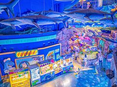 -烟台海昌鲸鲨海洋公园