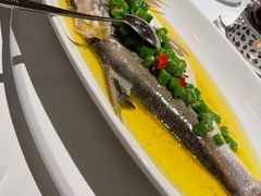 青花椒蒸白水鱼-荣兴酒家(徐家汇店)