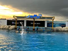 -三亚海昌梦幻海洋不夜城