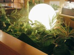 -宏宴·新京菜(望京店)