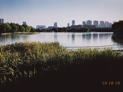 -洛阳市隋唐城遗址植物园