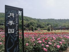 -龙寺生态园