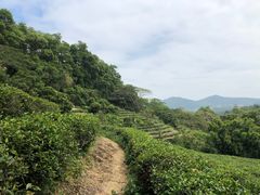 -东部华侨城
