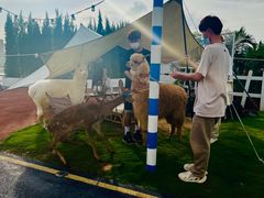-Blue Concept Cafe&Farm·關於藍