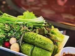 -食家鸽园