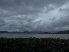 -湖畔居茶楼(湖滨店)
