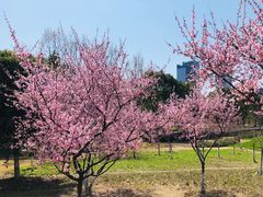 -白塘生态植物园