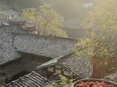 -杨家堂村