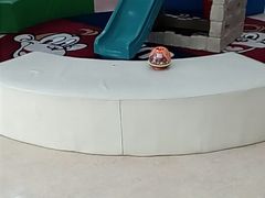 -美吉姆国际儿童发展中心(红谷滩绿地缤纷城中心)