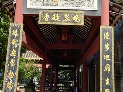 -碧江金楼