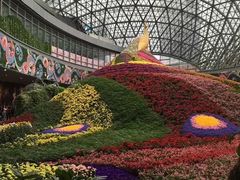 -花之城