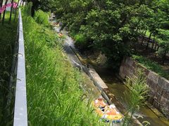 -天目湖松岭竹海漂流