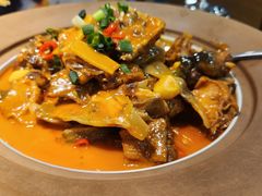-洞庭家宴·头牌甲鱼(广渠门店)