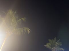 -JW万豪厨房餐厅·滨海草坪烧烤·海鲜·海景(三亚绿发山海天JW万豪酒店)