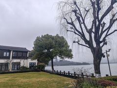 -杭州西湖柳莺里酒店·闻莺厅