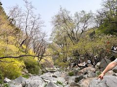 -泰山风景名胜区