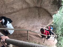 -川西竹海景区