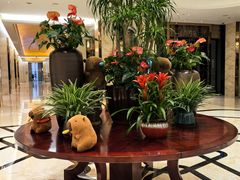 -廊坊固安福朋喜来登酒店