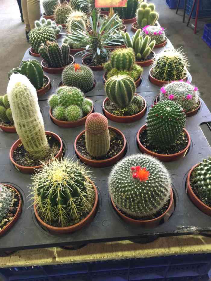 建国假日花市-"台北市建国假日花市,位于仁爱路与信义路的.