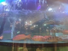 -金翠皇宫粤菜·点心·海鲜(科技园店)