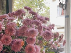 -Apollo·西班牙小酒馆(安福路店)