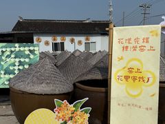 -苏州市吴中区光福窑上花果蜜饯厂