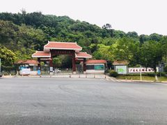 -天鹿湖森林公园