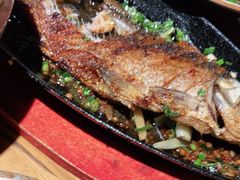 -鸽子窝(宋庄店)