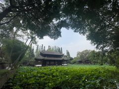 -桂湖森林公园