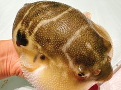 -永安鱼庄·镇江菜(东吴路店)